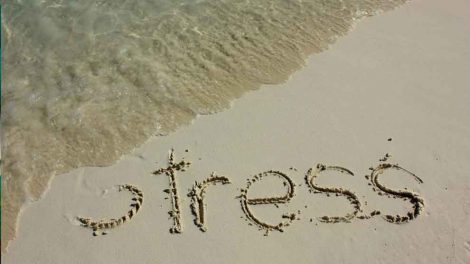 reliving stress - Host and Care Medical Journal